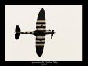 Spitfire-Mk19-bis.jpg